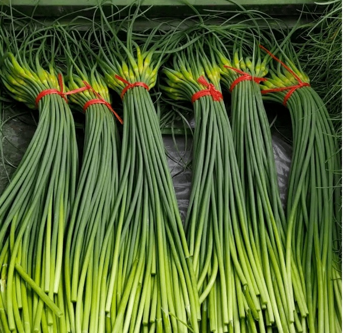 今日蒜苔價格動態(tài)及市場走勢與影響因素分析