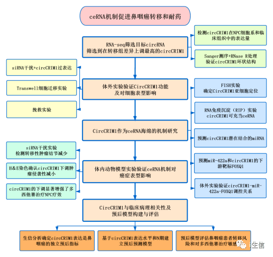 新澳資料正版免費資料,結(jié)構(gòu)化推進(jìn)評估_zShop74.783